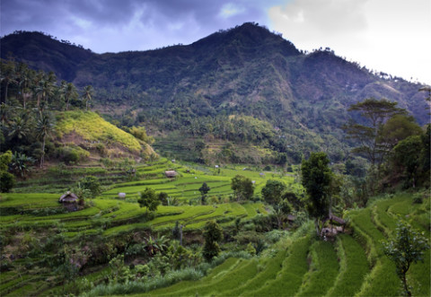 shutterstock_35834200